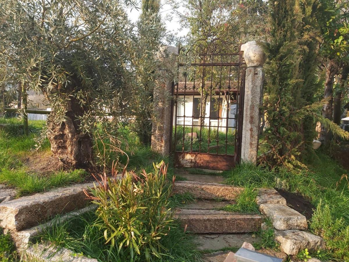 Romantico Palazzo Dei Ulivi Purasca Dış mekan fotoğraf