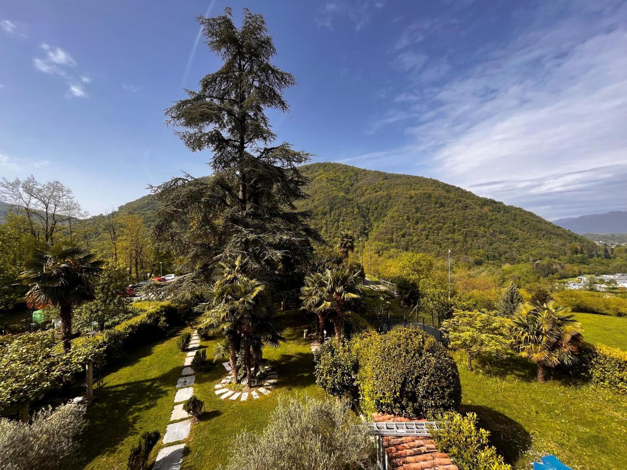 Romantico Palazzo Dei Ulivi Purasca Dış mekan fotoğraf