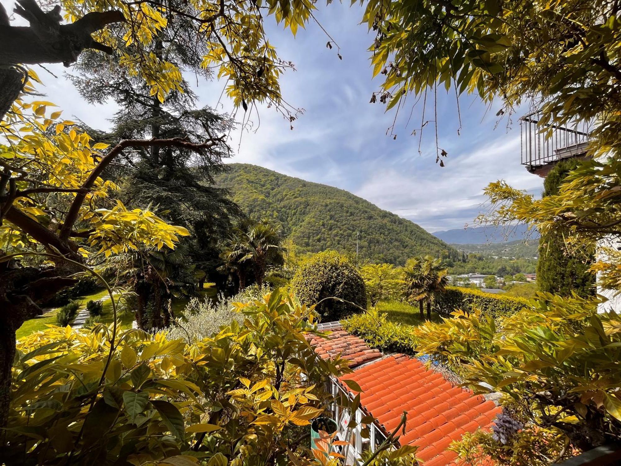 Romantico Palazzo Dei Ulivi Purasca Dış mekan fotoğraf